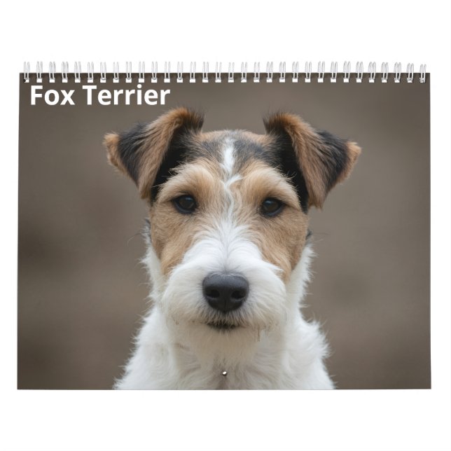 Fox Terrier 2027 Wall Calendar (Cover)