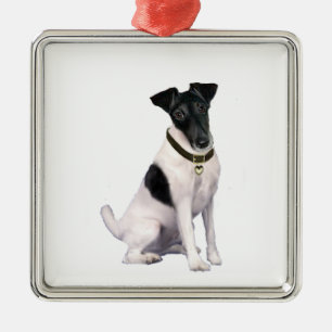 Fox Terrier (A) - Smooth - black-white Metal Ornament