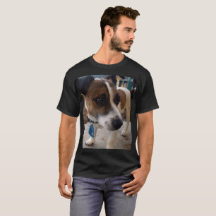 Fox Terrier, Attraction Mens Black T-shirt