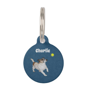Fox Terrier Ball Trance, Pet Tag