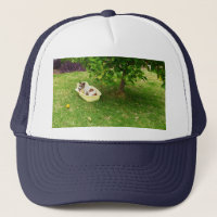 Fox Terrier Bathtime, Truckers Hat