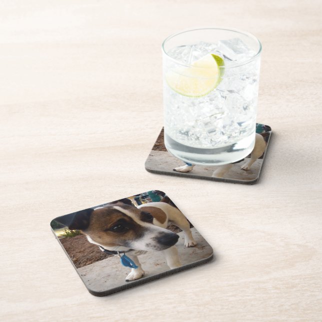 Fox_Terrier,_ Coaster (Right Side)