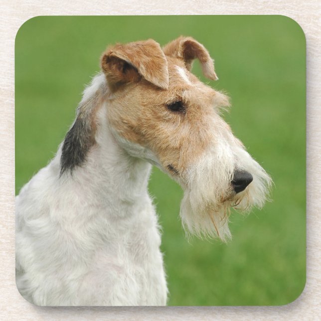 Fox Terrier Coaster (Front)