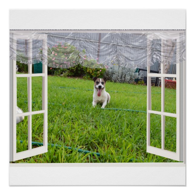 Fox Terrier Come Play, Poster (Front)