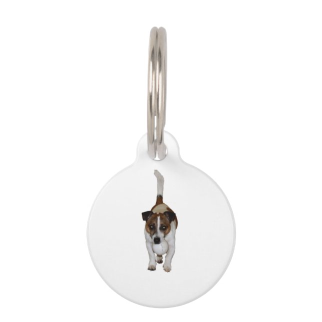 Fox Terrier, Customise This Dog Tag (Front)