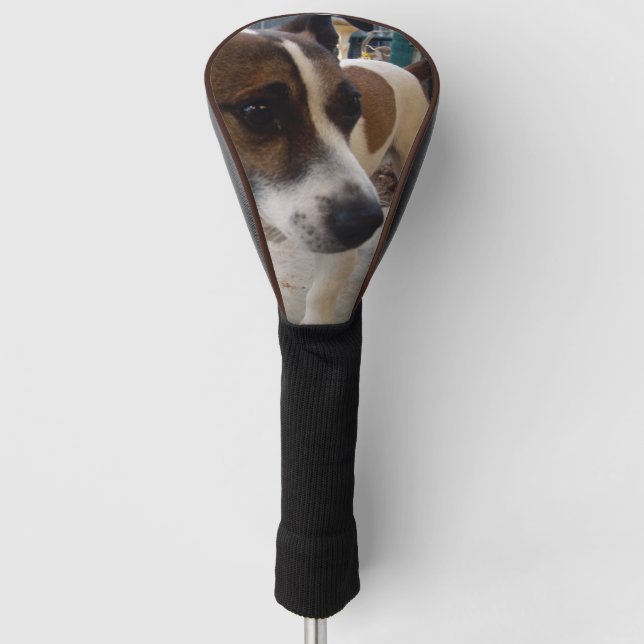 Fox Terrier Dog Attraction, Golf Head Cover (Front)