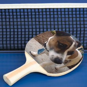 Fox Terrier Dog Attraction, Ping Pong Paddle
