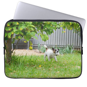 Fox Terrier Funny Scare Face, Laptop Sleeve
