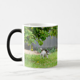 Fox Terrier, Funny Scare Face, Magic Morph  Mug