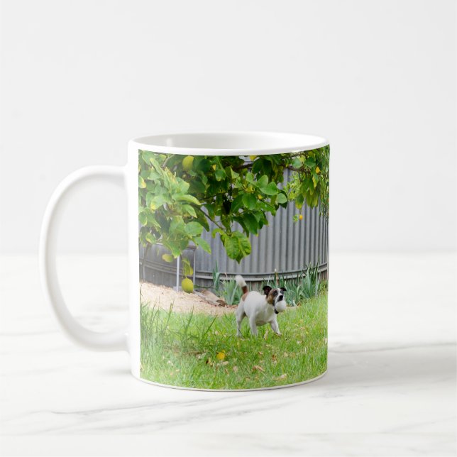Fox Terrier, Funny Scare Face, White Coffee Mug (Left)