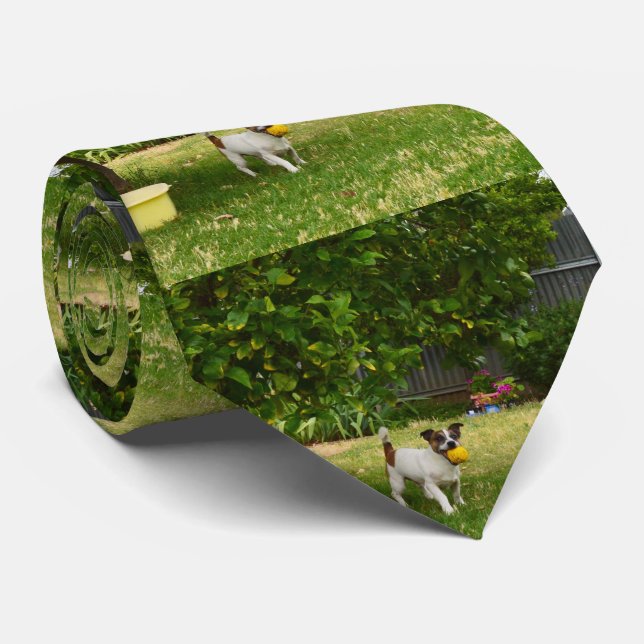 Fox Terrier Happy Days,  Tie (Rolled)