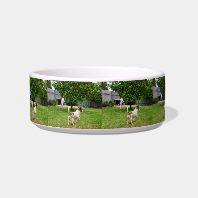 Fox Terrier Leaping Into A Tree, Bowl (Front)
