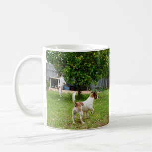 Fox Terrier Leaping Into A Tree, Coffee Mug