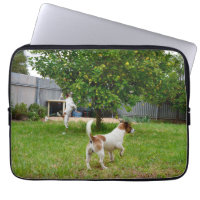 Fox Terrier Leaping Into A Tree,