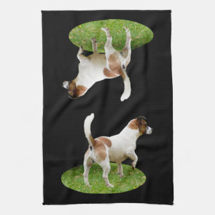 Fox Terrier On Alert, Dish Towel