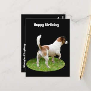 Fox Terrier on Guard Duty, Birthday Postcard