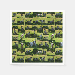 Fox Terrier Photo Collage, A Hard Day, Napkin