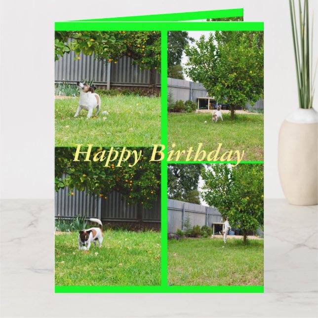 Fox Terrier, Photo Collage, Big Birthday Card (Front)