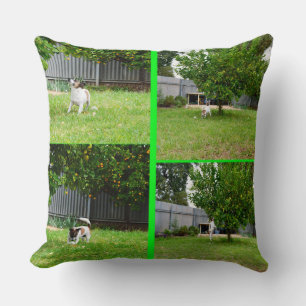 Fox Terrier Photo Collage, Big Throw Cushion. Cushion