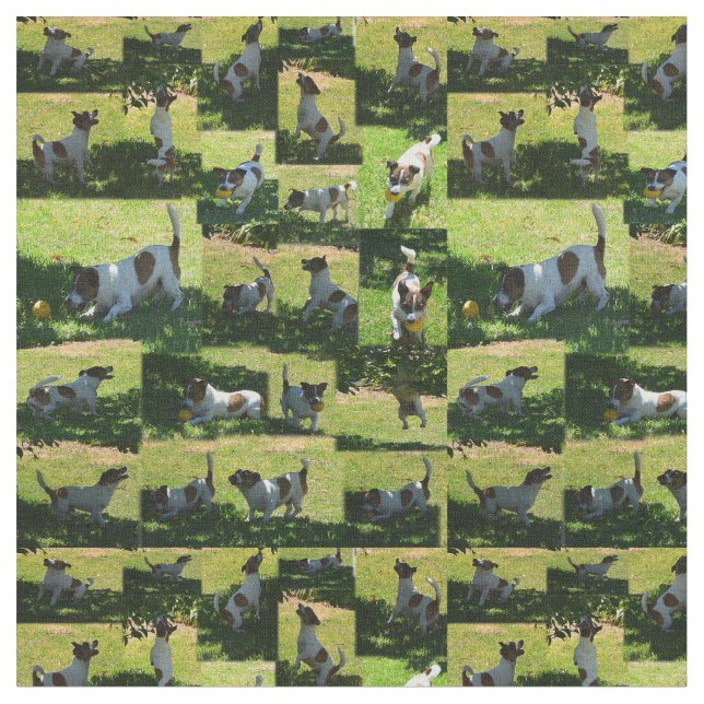 Fox Terrier Photo Collage, Fabric (Close Up)
