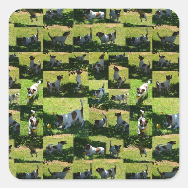 Fox Terrier Photo Collage, Square Sticker (Front)