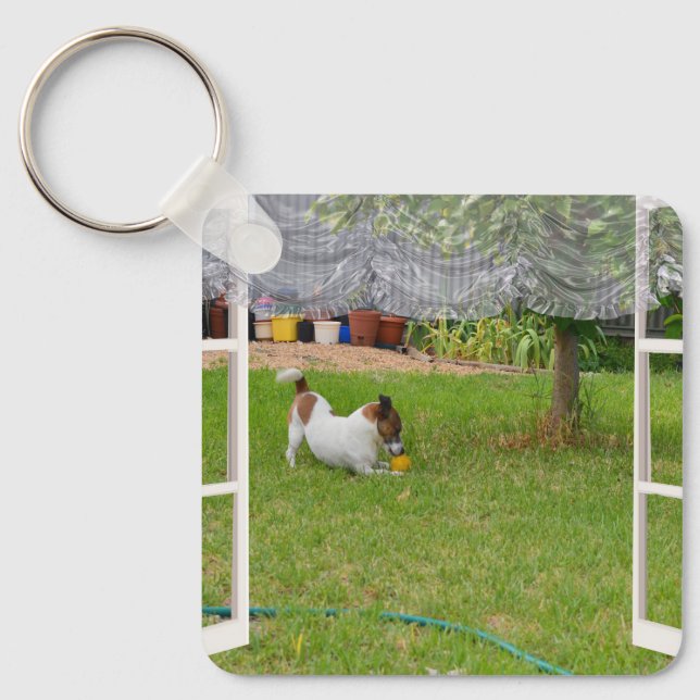 Fox Terrier Play Ball, Metal Keyring (Front)