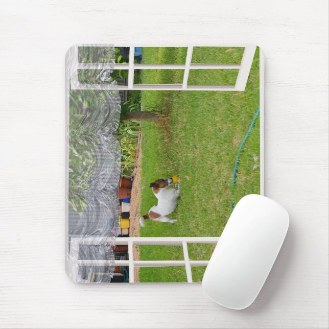 Fox Terrier Play Ball, Mousepad (With Mouse)