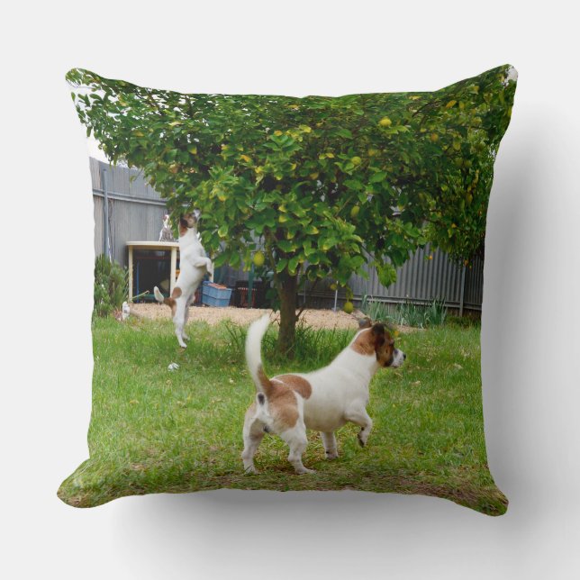 Fox Terrier Play Time Big Throw Cushion (Front)