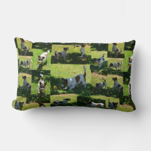 Fox Terrier Playing,Photo Collarge Lumbar Cushion. Cushion