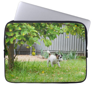 Fox Terrier, Scare Face, 13inch Laptop Sleeve
