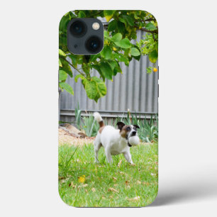 Fox Terrier Scare Face, iPhone 13 case
