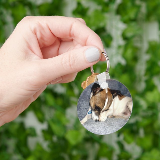 Fox Terrier Shy Face,  Key Ring (Hand)