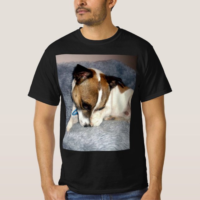 Fox Terrier Shy Face,  T-Shirt (Front)