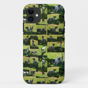 Fox Terrier, The Hard Day, iPhone 11 Case