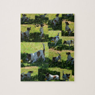 Fox Terrier, The Hard Day, Jigsaw Puzzle