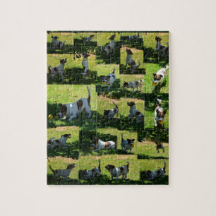 Fox Terrier, The Hard Day, Photo Collage, Jigsaw Puzzle