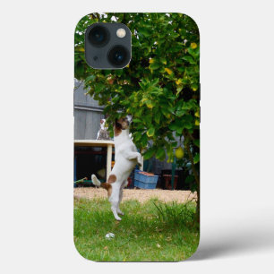 Fox Terrier The Leap, iPhone 13 Case