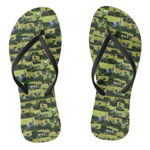 Fox Terrier The Long Hard Day Photo Collage, Thongs