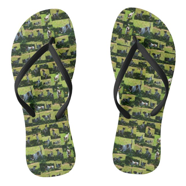 Fox Terrier The Long Hard Day Photo Collage, Thongs (Footbed)