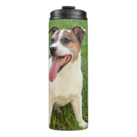 Fox Terrier, Tongue In Cheek,