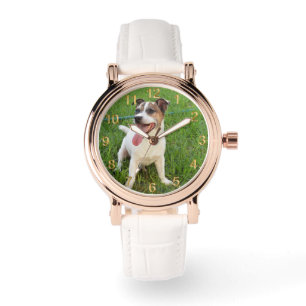 Fox Terrier, Tongue In Cheek, Watch