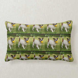 Fox Terrier With His Ball Lumbar Cushion. Cushion