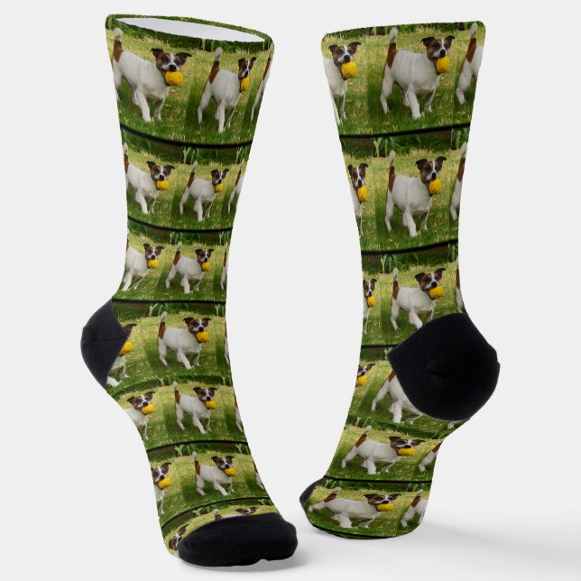 Fox Terrier With His Ball Pattern,  Socks (Angled)