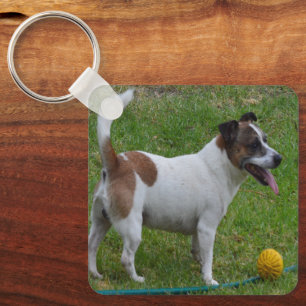Fox Terrier With His Yellow Ball, Keyring