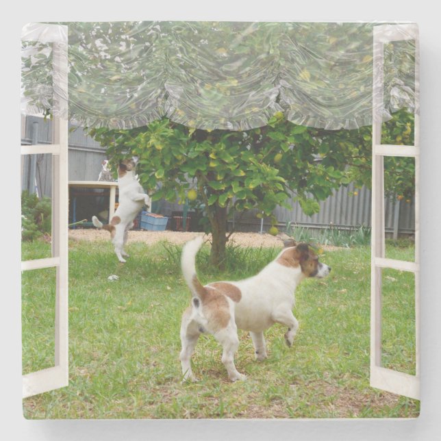 Fox Terriers Exploring The Garden,  Stone Coaster (Front)