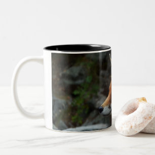 Fox Two-Tone Coffee Mug