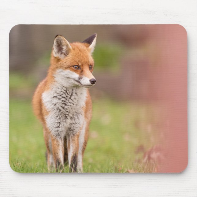 Fox Vixen Mouse Mat (Front)