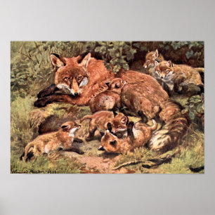 Fox Vixen with Cubs by Austen, Vintage Wild Animal Poster