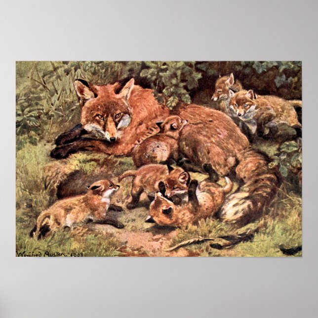Fox Vixen with Cubs by Austen, Vintage Wild Animal Poster (Front)