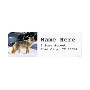 Fox Wildlife Nature Return Address Label